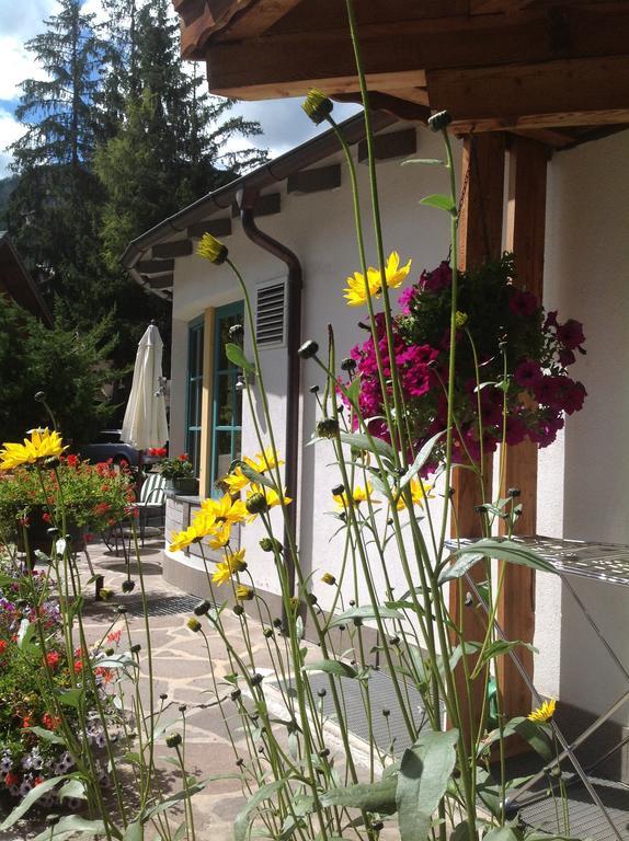 Garni Pineta Hotell San Martino in Badia Exteriör bild